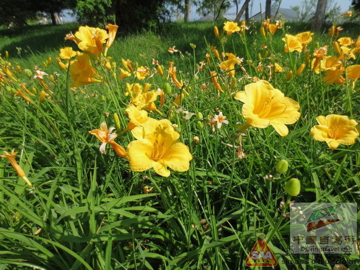 本站网友周末葫芦岛海滨消夏游!_北京自驾游F