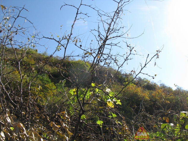 10月16日--密云云龙涧 - 马自达6车友会