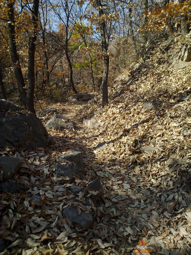 周三不收门票的大觉寺之游(手机版)_汽车60部