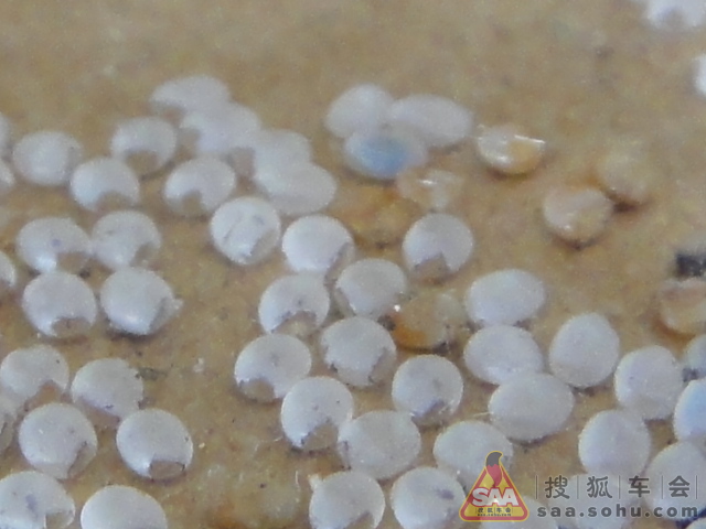 春蚕到死丝方尽