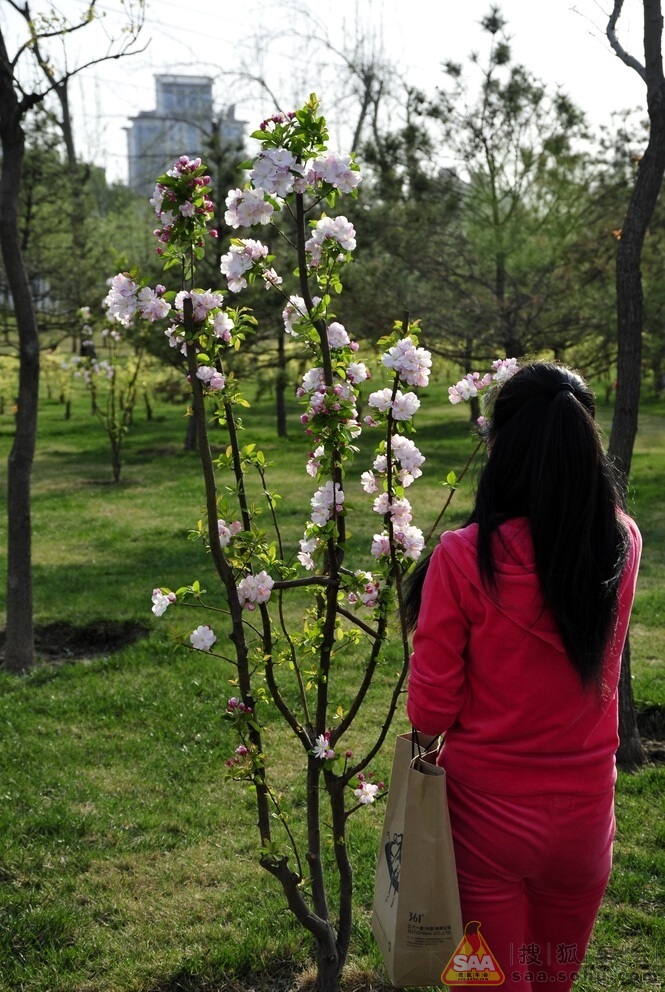 周末庆丰公园 之 我要看美女
