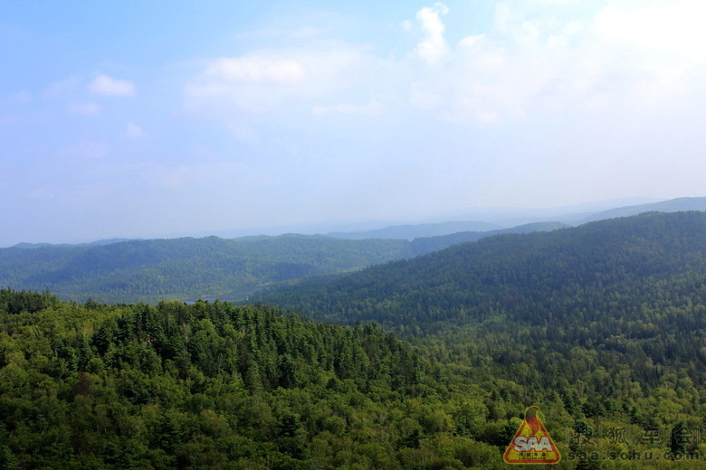 登高望林海浩瀚无垠绿无边