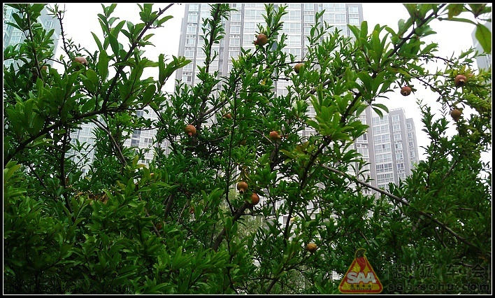 [苏车杂谈0720]洛阳随拍,随笔~~