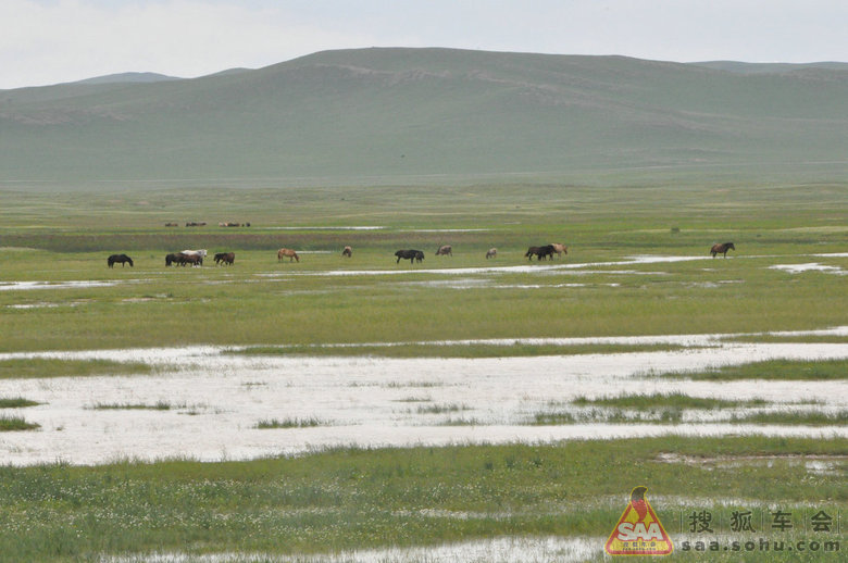 逐梦之旅:蒙古草原,东北边境自驾游_明锐车友