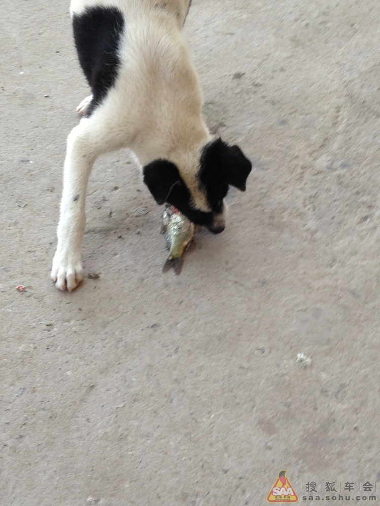 小伙伴【自驾游】通州森林公园烧烤垂钓一日游