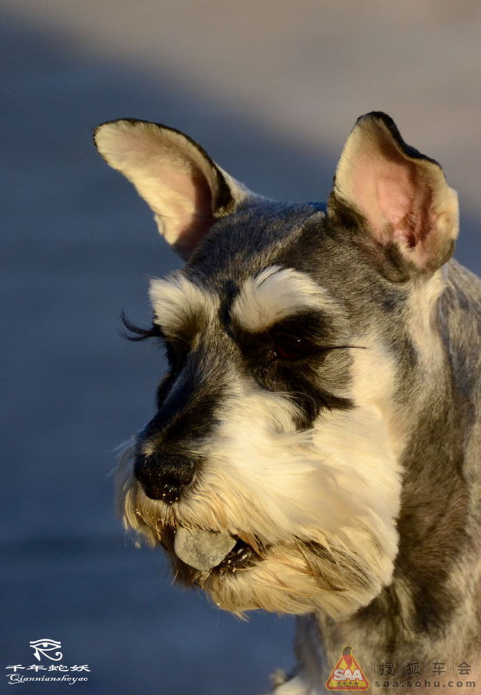 全国有多少人为了有一套房子而<em>熬白了头发</em>?_