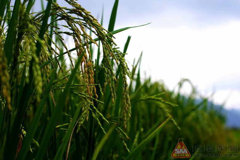 土人回来了!安徽一行随拍~