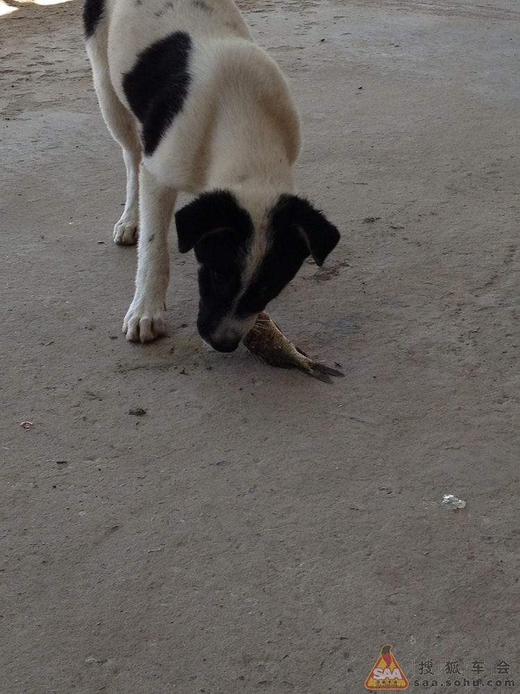 小伙伴【自驾游】通州森林公园烧烤垂钓一日游