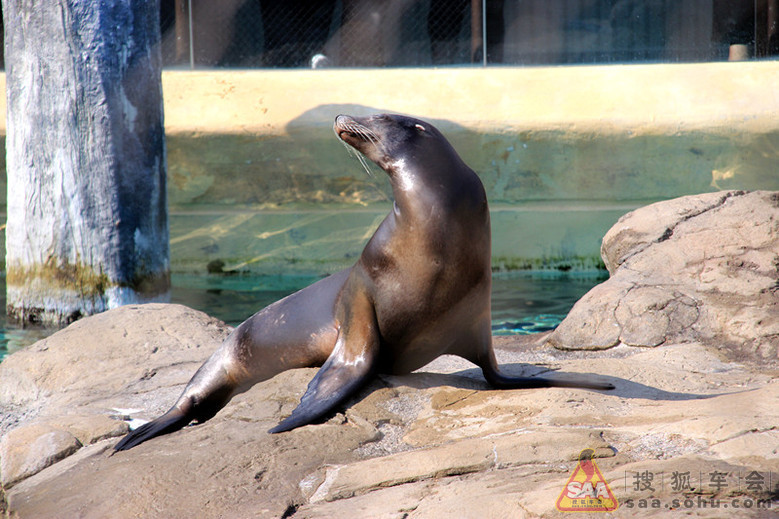 我和老伴经珠海坐船过伶仃洋到香港自由行--游