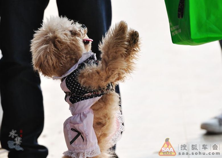 【新春第一聚】广州美食自驾游南沙车友FB团美食生物语梦图片