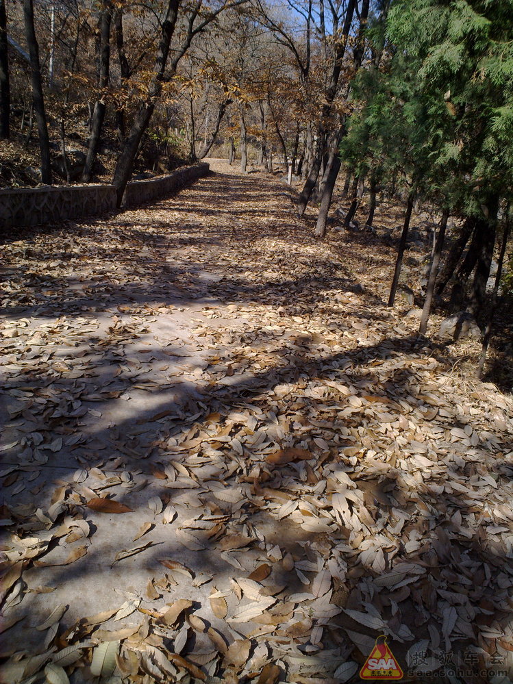 周三不收门票的大觉寺之游(手机版)_汽车60部