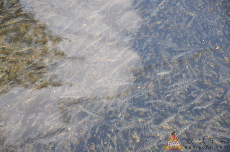 快来瞧快来看,这<em>姑娘干嘛</em>呢 - 北京红马车友会