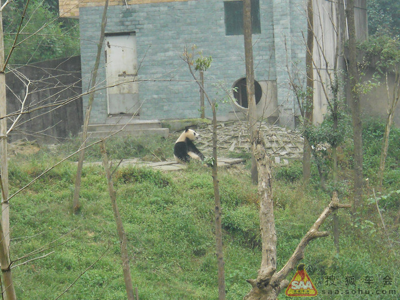 ★且歌且行:国庆节欢乐时光记忆★