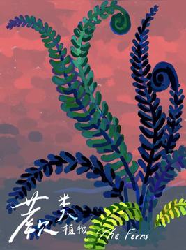 蕨类植物