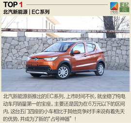   《E起说》第002期：今年4月电动车销量TOP5