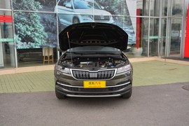   2018款斯柯达柯珞克 TSI280 旗舰版