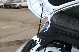   2019款东风风行F600L 2.0L 豪华型 7座