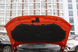   2021款 WEY VV5 1.5T 两驱元气橙版