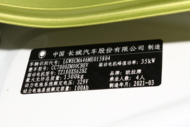   2021款 欧拉黑猫 351km 标准型