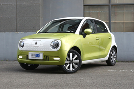   2021款 欧拉黑猫 351km 标准型