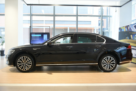   2021款大众辉昂 380TSI 豪华版