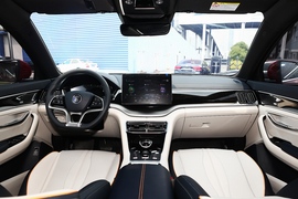   2021款比亚迪宋PLUS EV 尊贵型