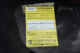   2022款欧拉黑猫 301km 萌宠版