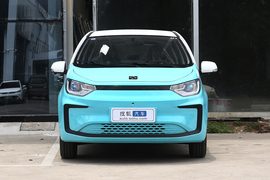  2022款思皓E10X 花仙子款 向日葵