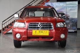   2010款野马汽车F99