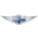 摩根
