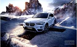 ԽBMWX1 ר 