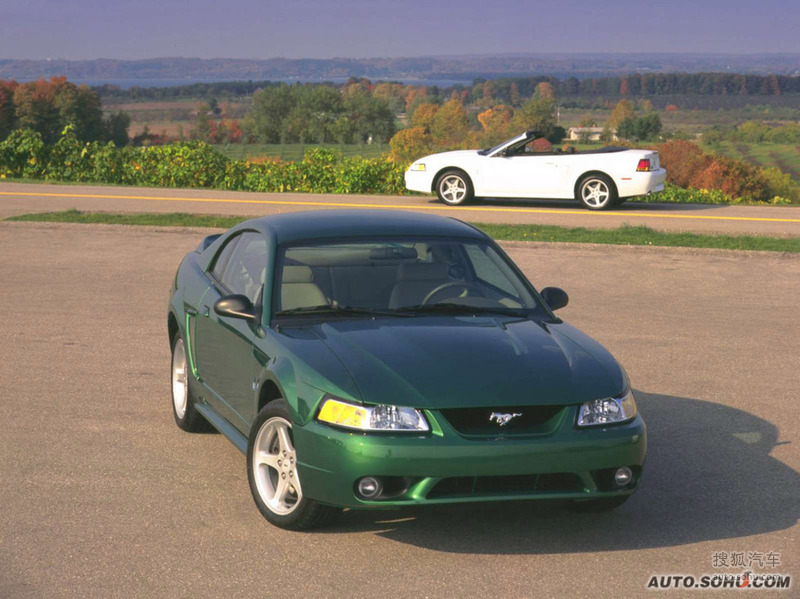 福特进口福特野马1999款福特野马svt cobra