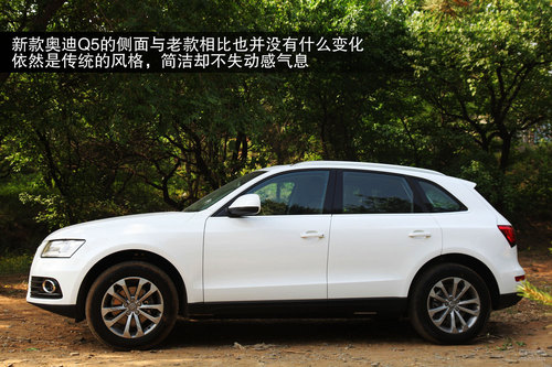 Img2210506_middle.jpg