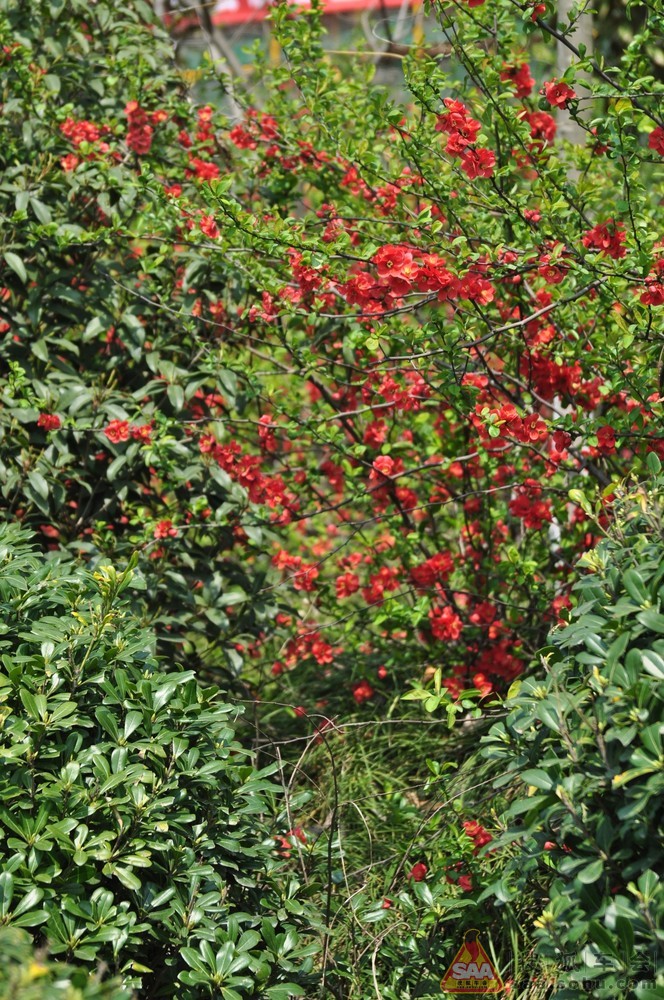 Img8699006_780.jpg