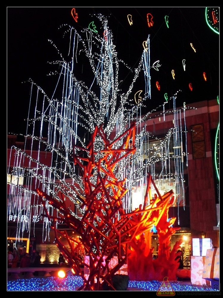 Img874610_780.JPG