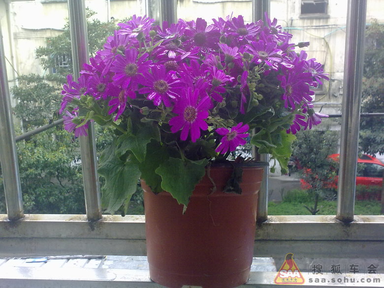 Img1060418_780.jpg