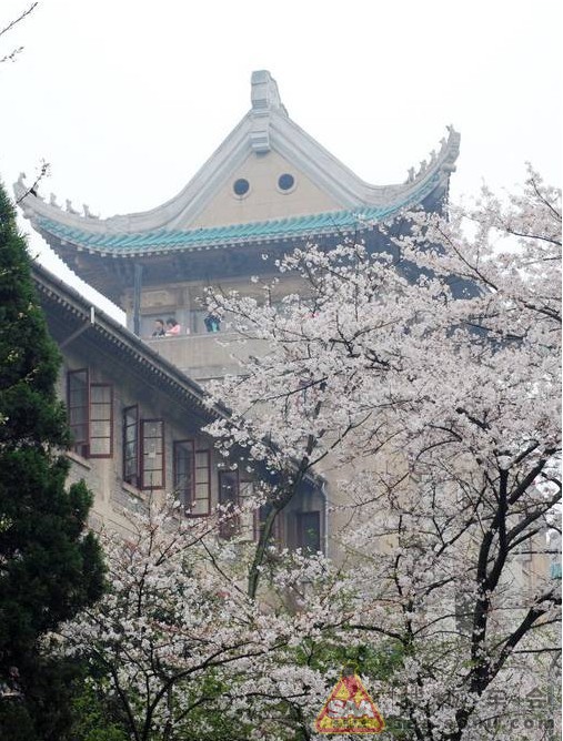 现在怎么样进武汉 Img1100418_780.jpg