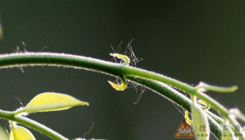 Img4161326_780.jpg