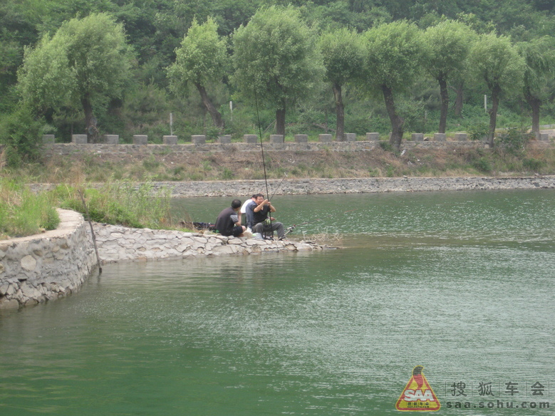 Img1500430_780.jpg