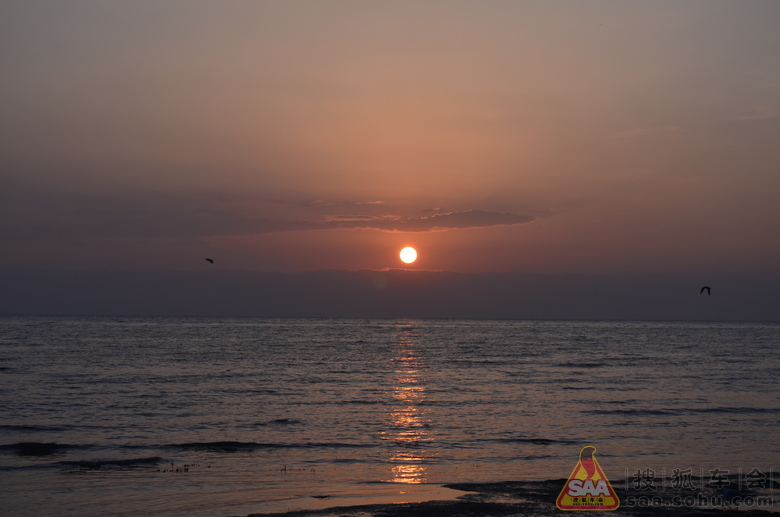 Img8433830_780.JPG