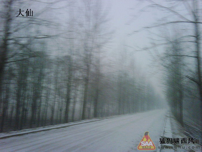Img3032438_780.jpg