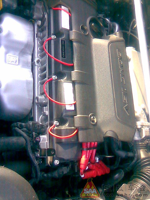 Img381842_780.jpg