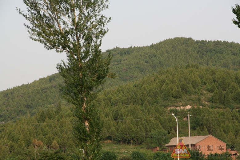 Img4509742_780.JPG