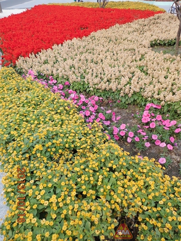 Img8940250_780.jpg