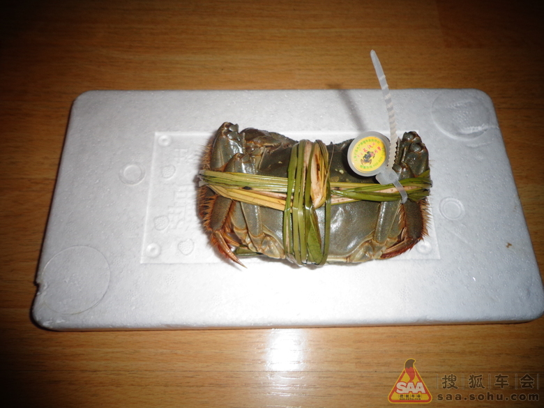 Img6054854_780.JPG