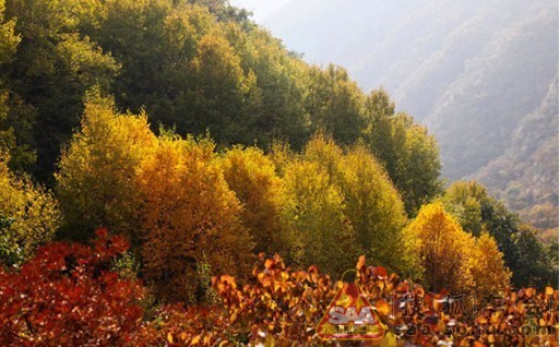 什么人不能去香山 Img2811262_780.jpg