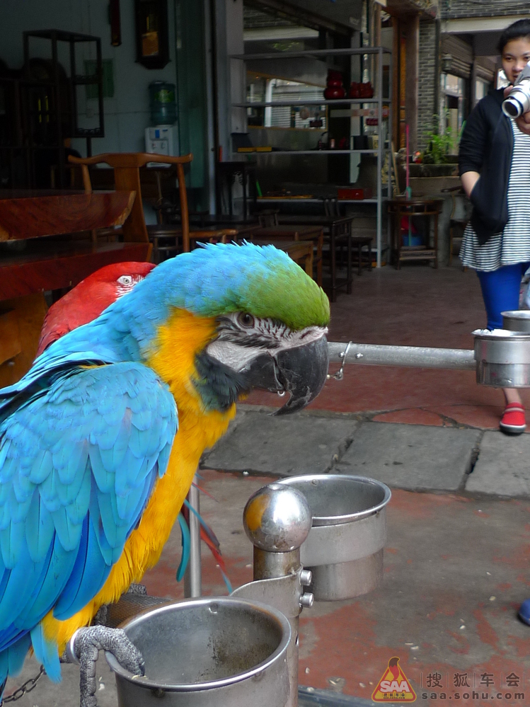 Img3469662_780.JPG