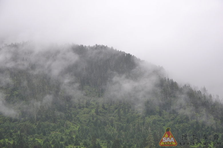 Img5322366_780.JPG