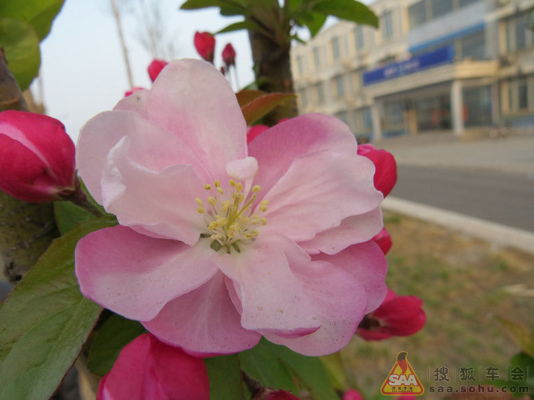 Img7391270_780.JPG