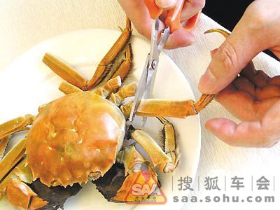 Img8672474_780.jpg